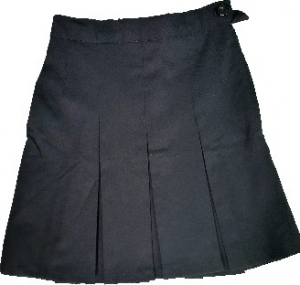 School Skirt