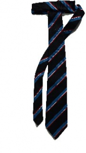 School Tie