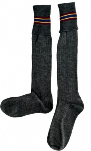 PBS Grey Socks