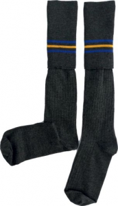 Sentraal Grey Socks