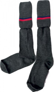 WP Grey Socks